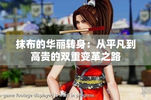抹布的华丽转身：从平凡到高贵的双重变革之路