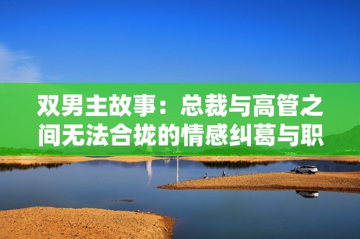 双男主故事：总裁与高管之间无法合拢的情感纠葛与职场风云
