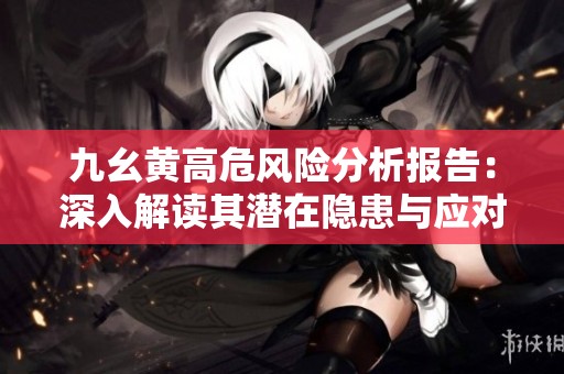 九幺黄高危风险分析报告：深入解读其潜在隐患与应对策略