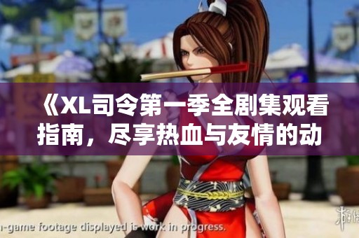 《XL司令第一季全剧集观看指南，尽享热血与友情的动画之旅》