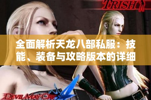 全面解析天龙八部私服：技能、装备与攻略版本的详细介绍
