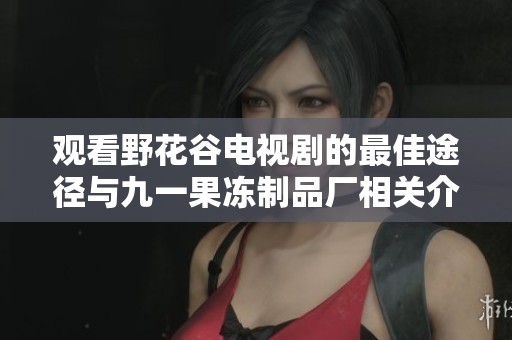 观看野花谷电视剧的最佳途径与九一果冻制品厂相关介绍