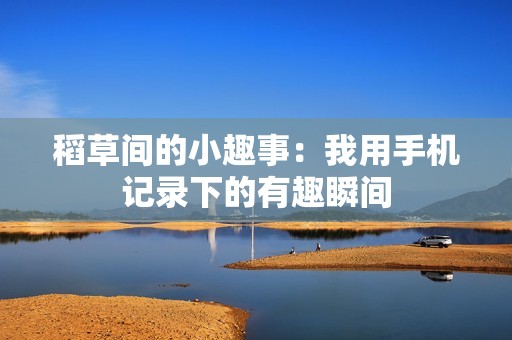 稻草间的小趣事：我用手机记录下的有趣瞬间