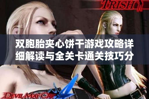 双胞胎夹心饼干游戏攻略详细解读与全关卡通关技巧分享