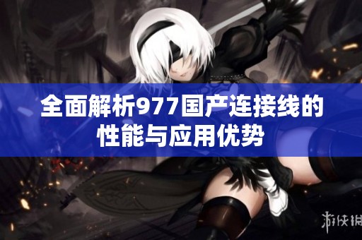 全面解析977国产连接线的性能与应用优势