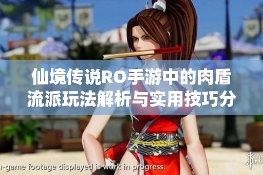 仙境传说RO手游中的肉盾流派玩法解析与实用技巧分享