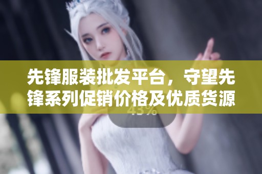 先锋服装批发平台，守望先锋系列促销价格及优质货源一站式服务