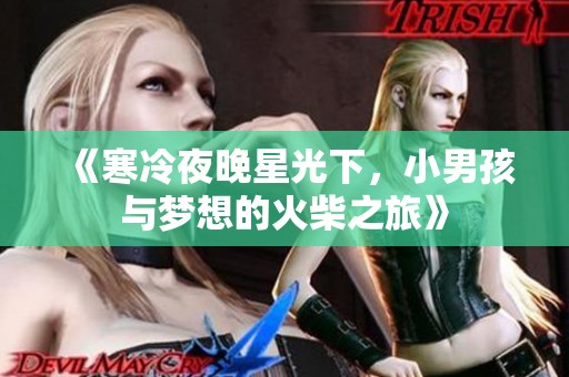 《寒冷夜晚星光下，小男孩与梦想的火柴之旅》