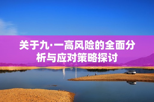 关于九·一高风险的全面分析与应对策略探讨