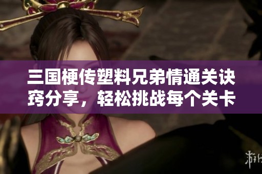 三国梗传塑料兄弟情通关诀窍分享，轻松挑战每个关卡的方法揭秘