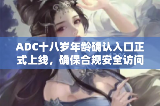ADC十八岁年龄确认入口正式上线，确保合规安全访问方法揭秘