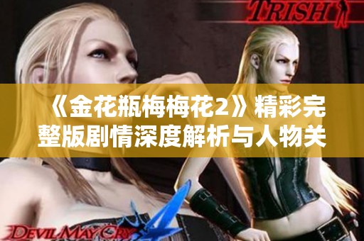 《金花瓶梅梅花2》精彩完整版剧情深度解析与人物关系探讨
