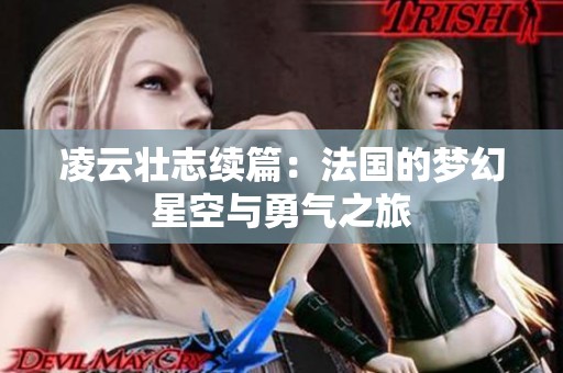 凌云壮志续篇：法国的梦幻星空与勇气之旅