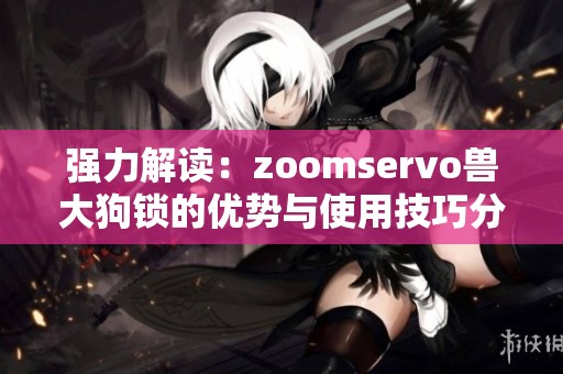 强力解读：zoomservo兽大狗锁的优势与使用技巧分析