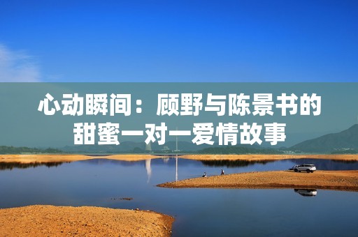 心动瞬间：顾野与陈景书的甜蜜一对一爱情故事