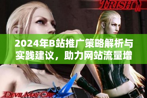 2024年B站推广策略解析与实践建议，助力网站流量增长