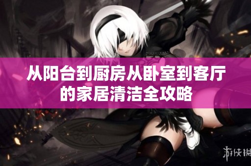 从阳台到厨房从卧室到客厅的家居清洁全攻略
