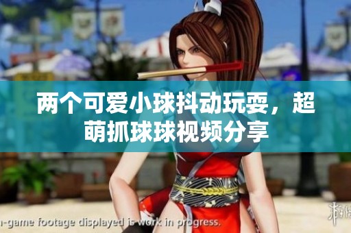 两个可爱小球抖动玩耍，超萌抓球球视频分享