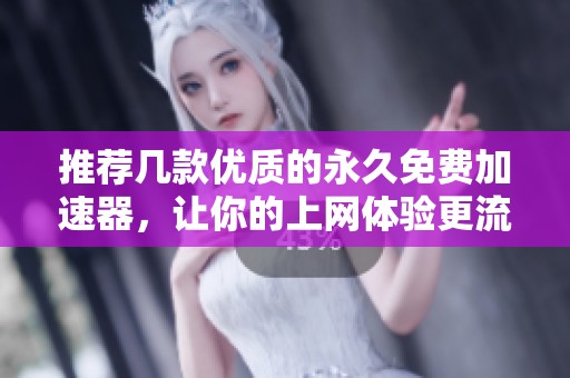 推荐几款优质的永久免费加速器，让你的上网体验更流畅