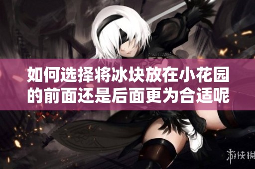 如何选择将冰块放在小花园的前面还是后面更为合适呢