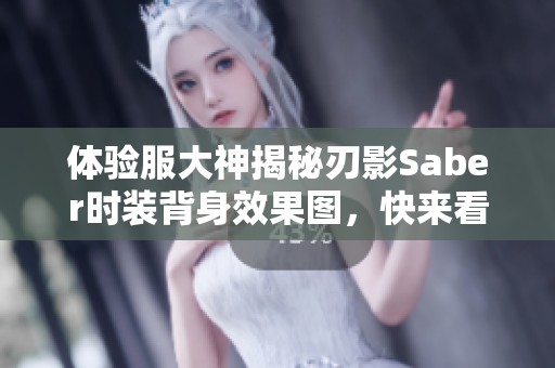体验服大神揭秘刃影Saber时装背身效果图，快来看看吧