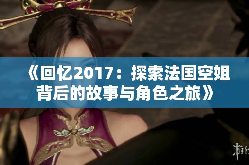 《回忆2017：探索法国空姐背后的故事与角色之旅》