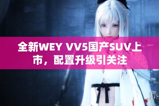全新WEY VV5国产SUV上市，配置升级引关注