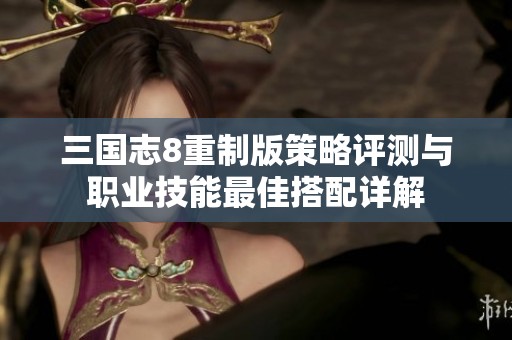 三国志8重制版策略评测与职业技能最佳搭配详解