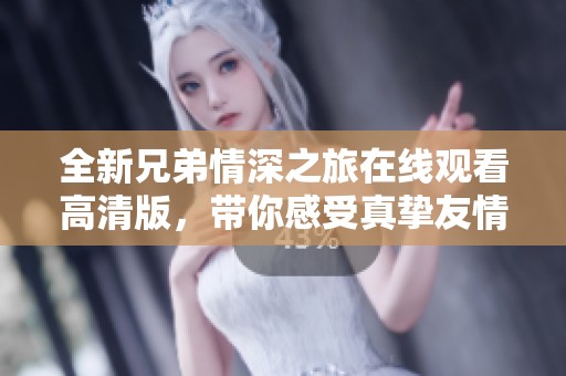 全新兄弟情深之旅在线观看高清版，带你感受真挚友情