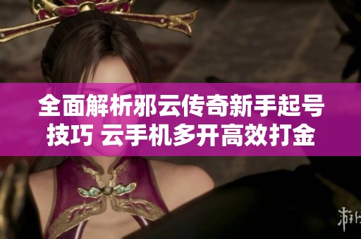全面解析邪云传奇新手起号技巧 云手机多开高效打金攻略
