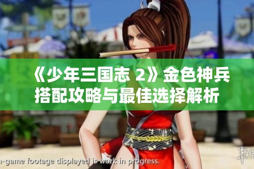 《少年三国志 2》金色神兵搭配攻略与最佳选择解析
