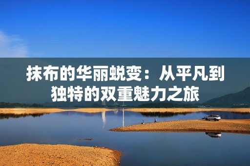 抹布的华丽蜕变：从平凡到独特的双重魅力之旅