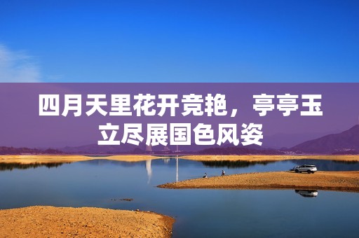 四月天里花开竞艳，亭亭玉立尽展国色风姿