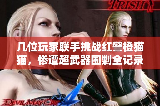 几位玩家联手挑战红警橙猫猫，惨遭超武器围剿全记录